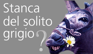 convenzioni